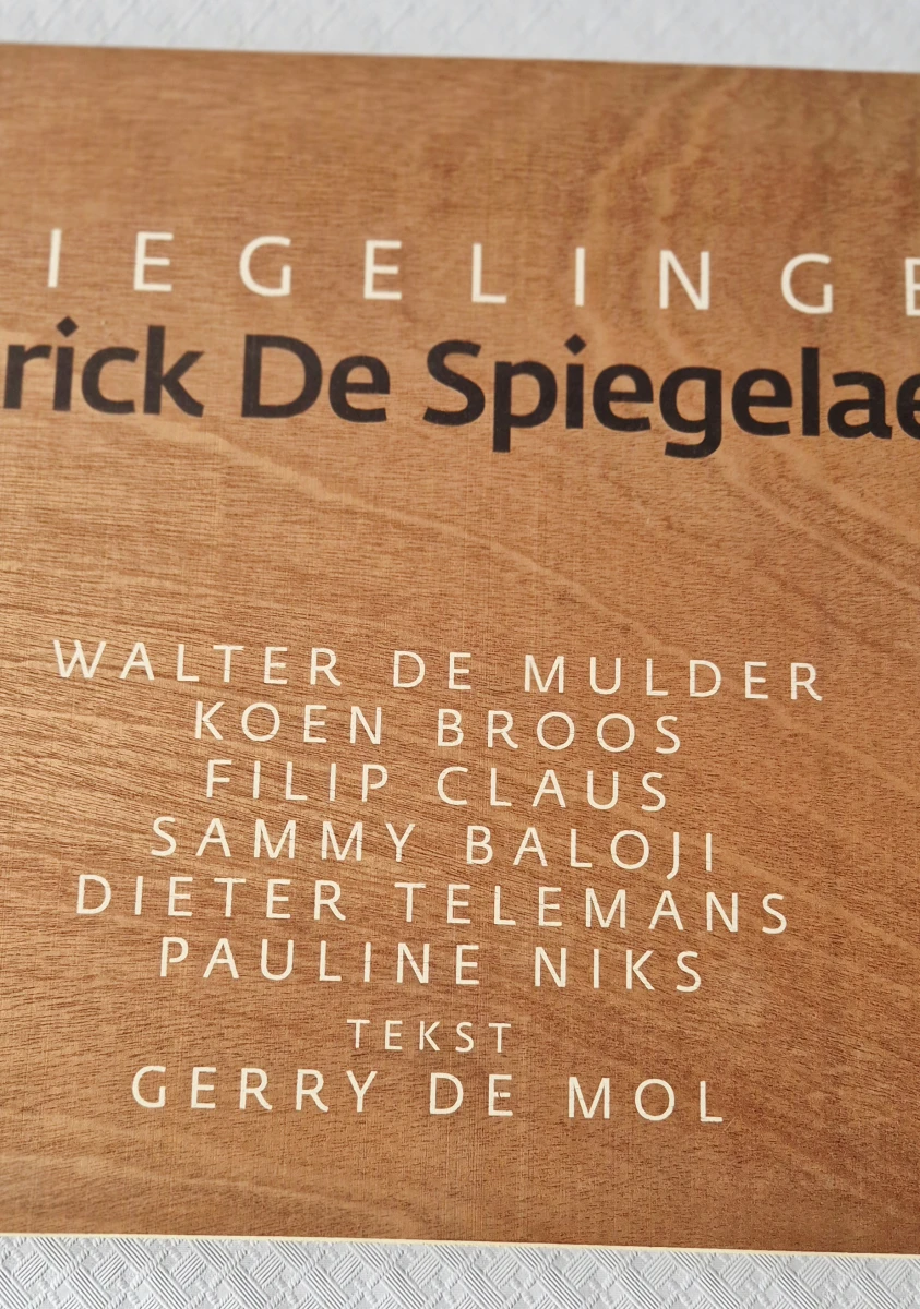 Houten kunstmap Spiegelingen - foto 9