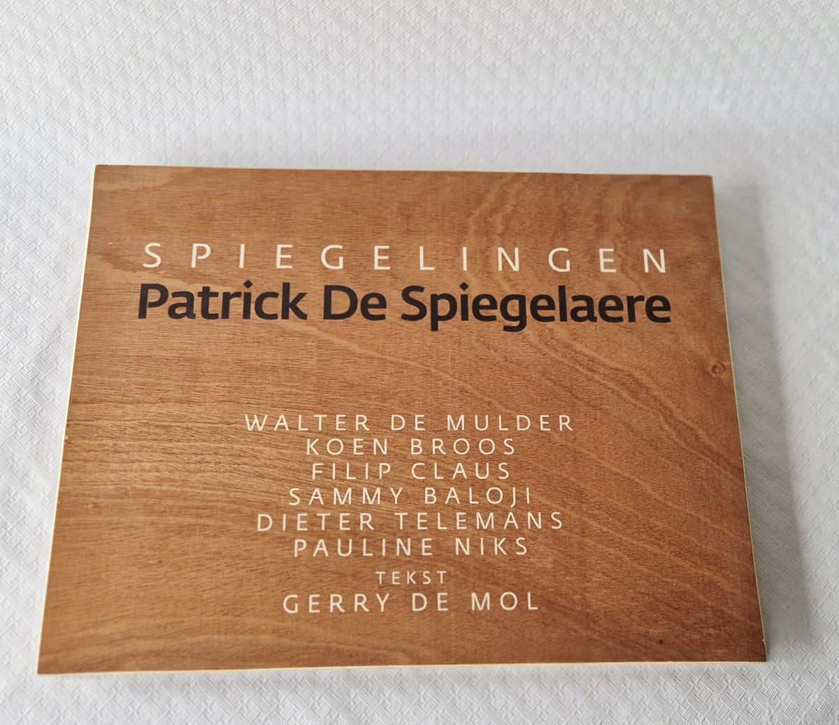 Houten kunstmap Spiegelingen - foto 8