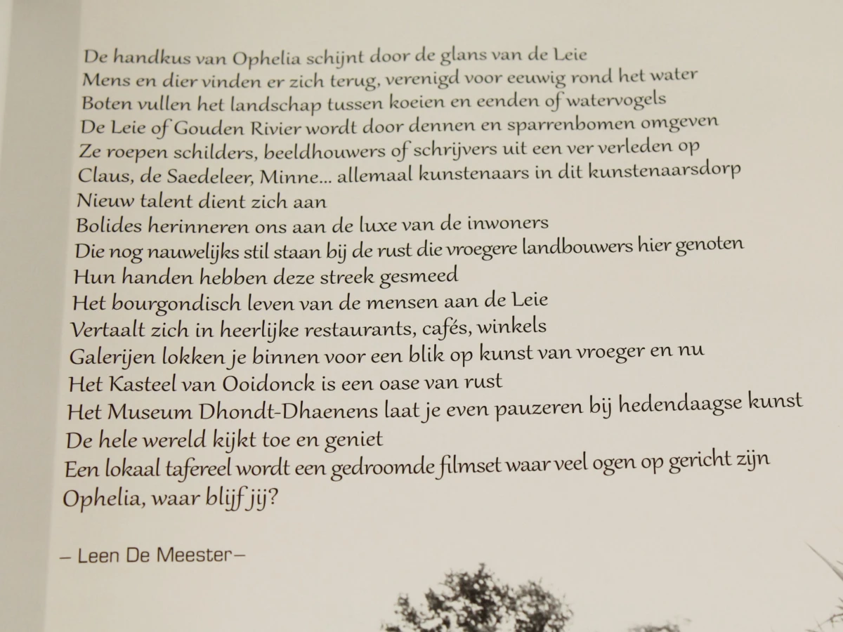 Golden River - Ode aan de Leie, Henk Van Cauwenbergh - Stichting Kunstboek - foto 3