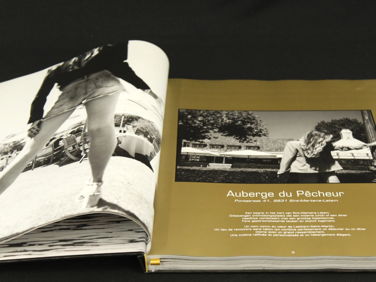 Golden River - Ode aan de Leie, Henk Van Cauwenbergh - Stichting Kunstboek - foto 4