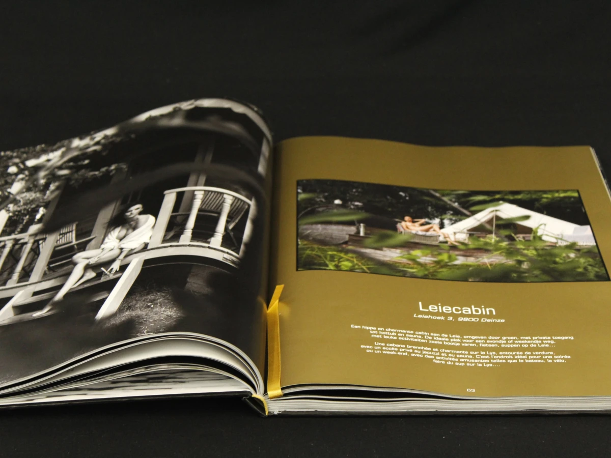 Golden River - Ode aan de Leie, Henk Van Cauwenbergh - Stichting Kunstboek - foto 6
