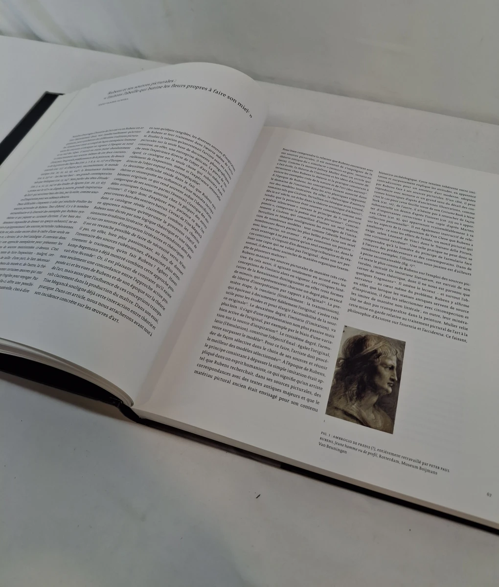 Kunstboek Rubens: L'atelier du génie - foto 6