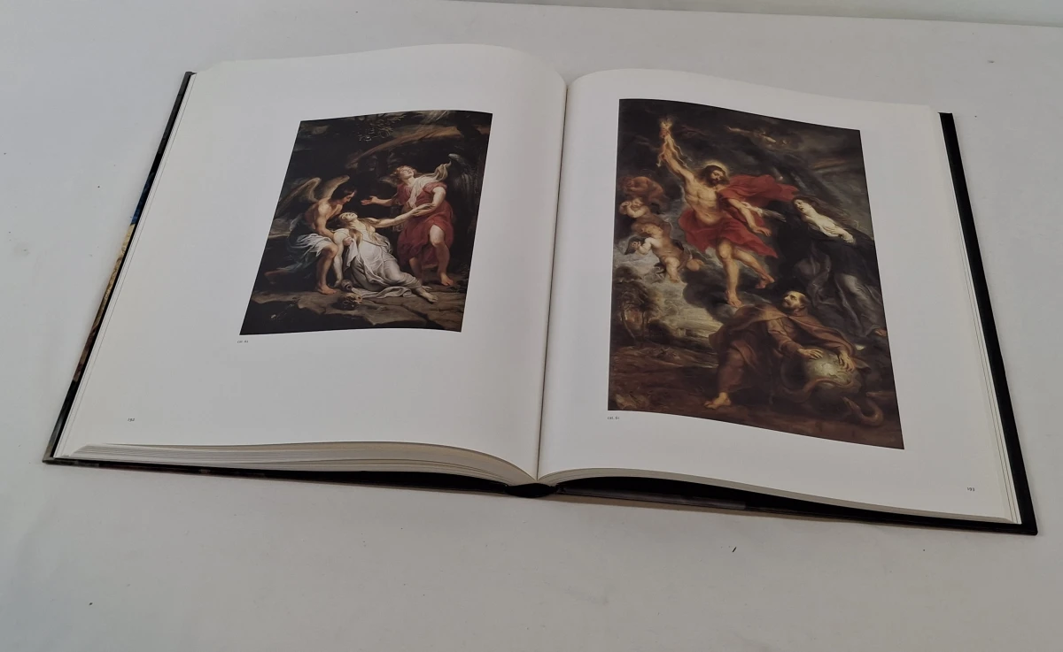 Kunstboek Rubens: L'atelier du génie - foto 7