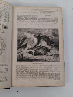 Antiek boek : "le magasin pittoresque", 1850 - foto 3