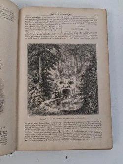 Antiek boek : "le magasin pittoresque", 1856 - foto 5