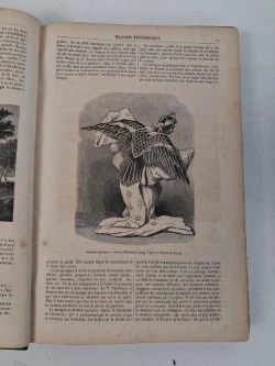Antiek boek : "le magasin pittoresque", 1862 - foto 3