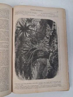 Antiek boek : "le magasin pittoresque", 1869 - foto 3