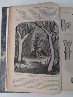 Antiek boek : "le magasin pittoresque", 1874 - foto 3