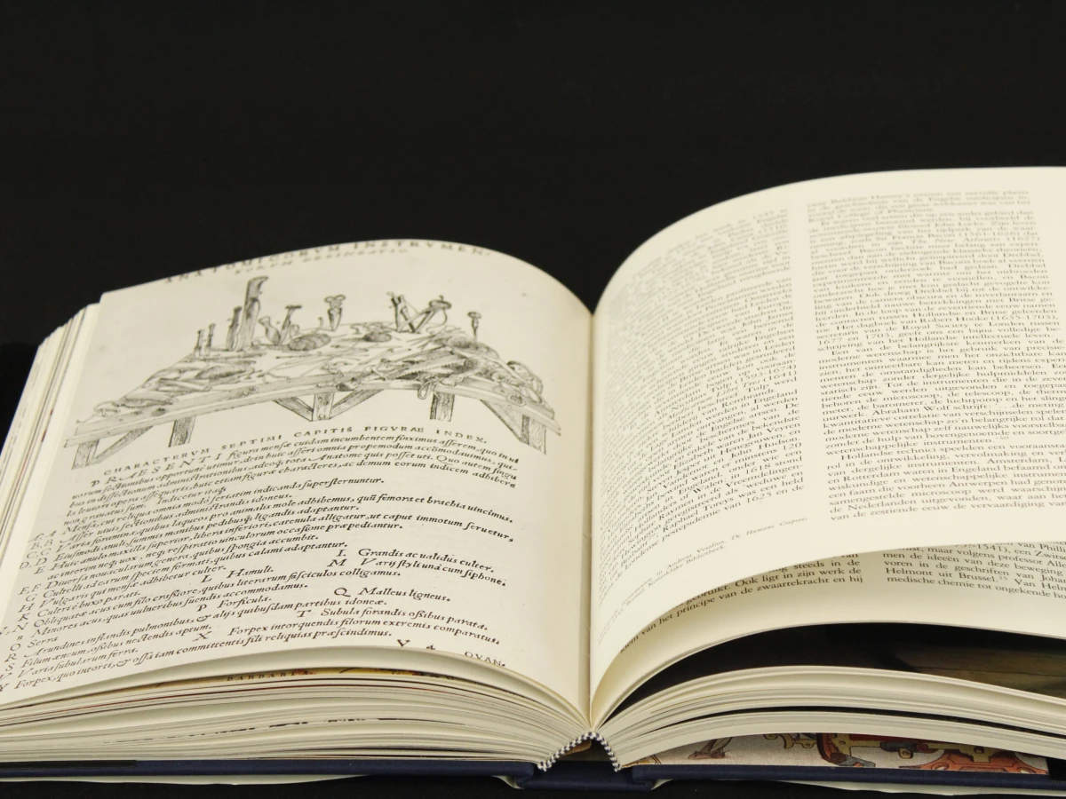 Vlaanderen en Engeland - Invloed van Lage Landen op Engeland Ten tijde van de Tudors en de Stuarts John J. Murray Mercatorfonds - foto 6