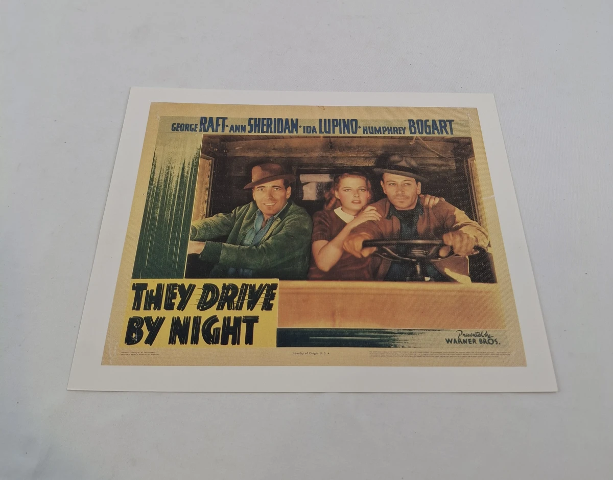 Vintage boek +  portfolio-uitgave “Lobby Cards:  The Classic Films” - foto 13
