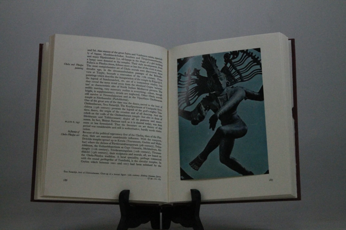 The Art of India: Five Thousand Years of Indian Art - foto 9