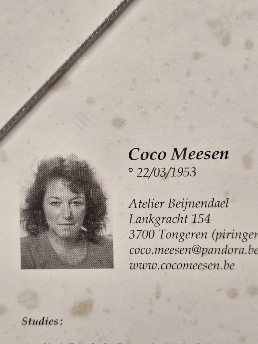 Gelimiteerde kunstzeefdrukken "Rome" en "Venetië" - Coco Meesen (Set van 2) - foto 12