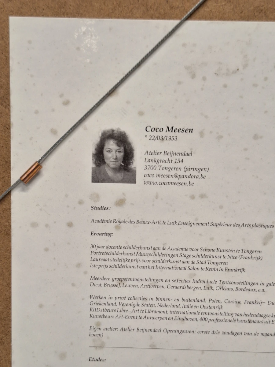 Gelimiteerde kunstzeefdrukken "Rome" en "Venetië" - Coco Meesen (Set van 2) - foto 11