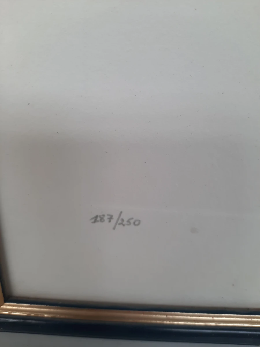 Origineel Familiewapen "Braet" – Gelimiteerde & Gesigneerde Prent (187/250)