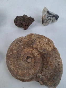 Stenen, mineralen en een fossiel - foto 4