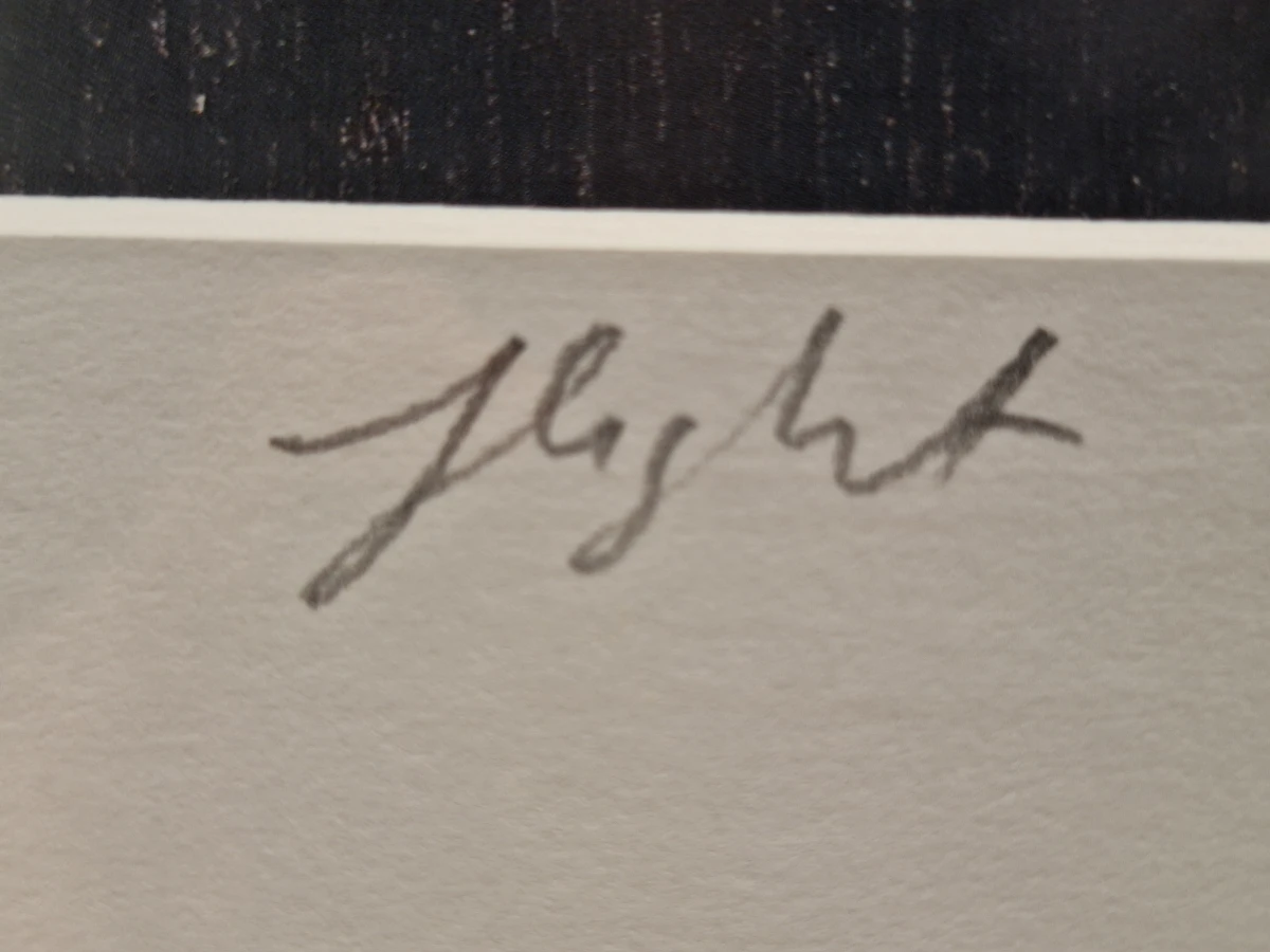 Christian Straetling - Originele kleurengrafiek "Flight" door Oost - gelimiteerde oplage (22/150) - foto 11