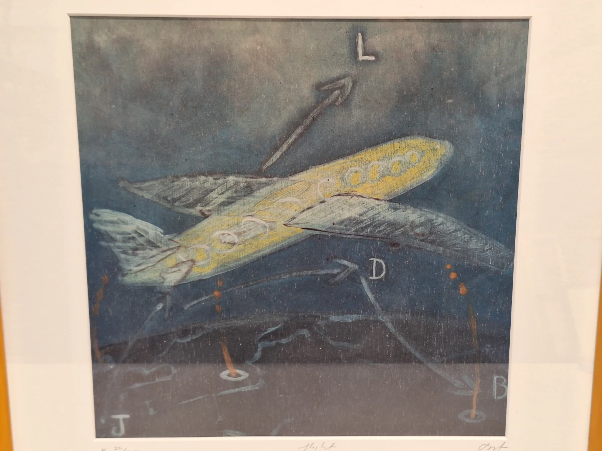 Christian Straetling - Originele kleurengrafiek "Flight" door Oost - gelimiteerde oplage (22/150) - foto 2