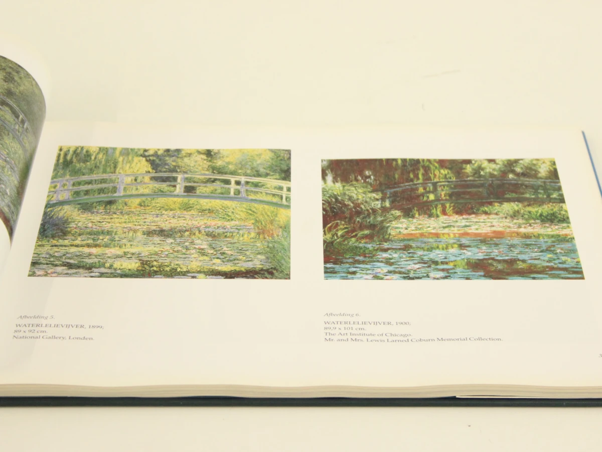 Monet waterlelies - foto 7