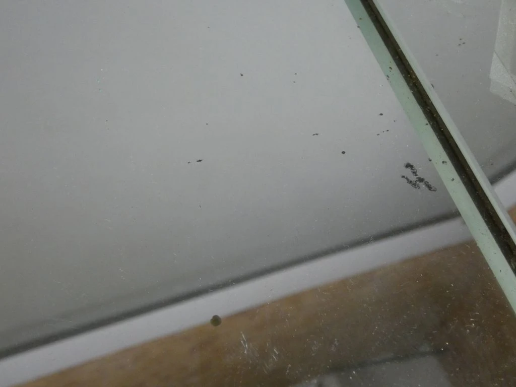 Decoratieve Wandspiegel met Facetgeslepen Randen - foto 10