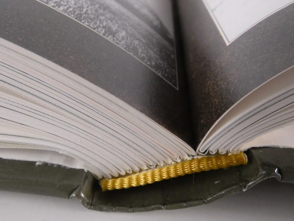 2-delige Franstalige boekenreeks Le Monde en Guerre - foto 15