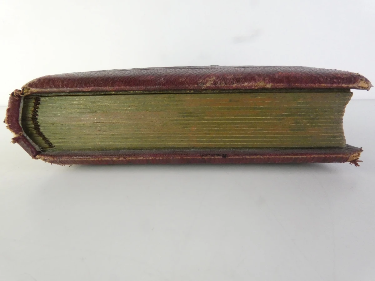 Vintage fotoalbum | Circa 1900-1930 - foto 5