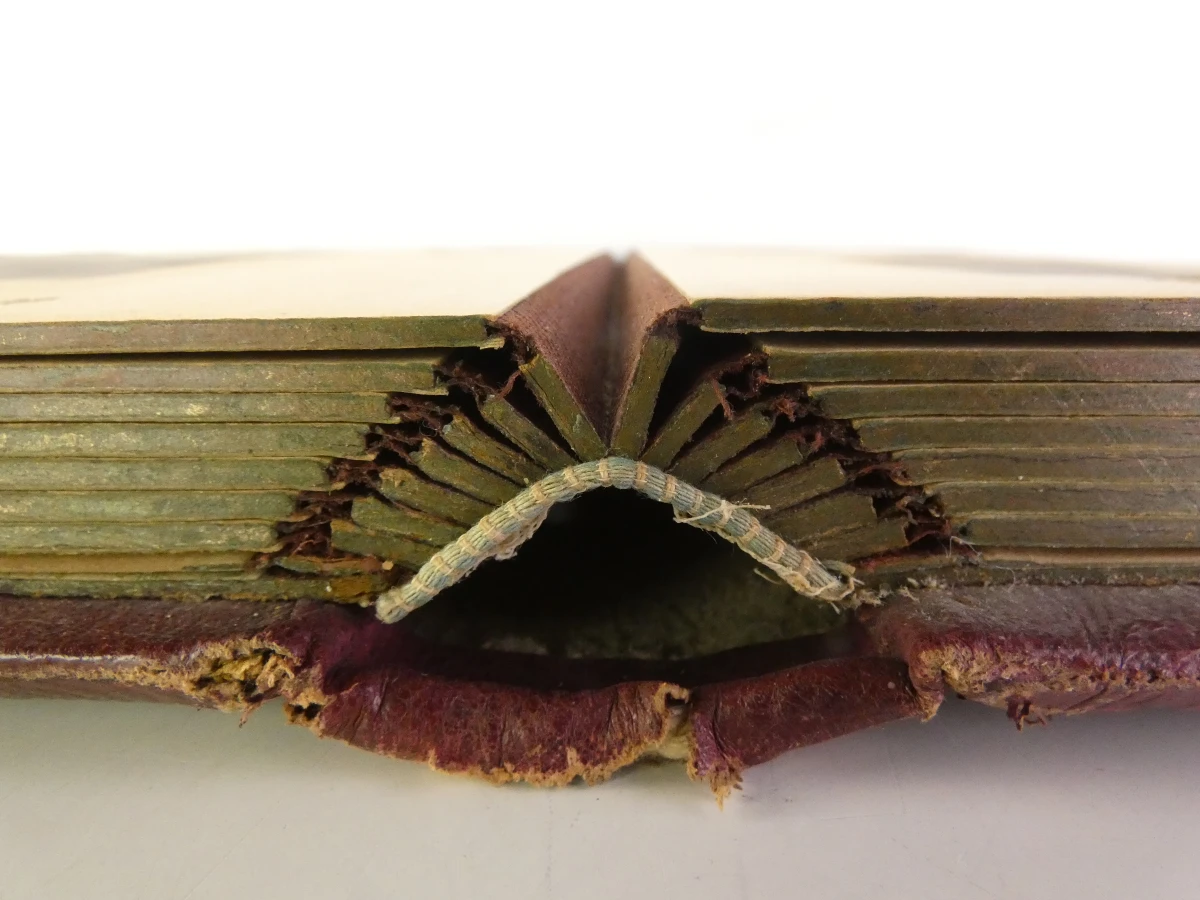 Vintage fotoalbum | Circa 1900-1930 - foto 7