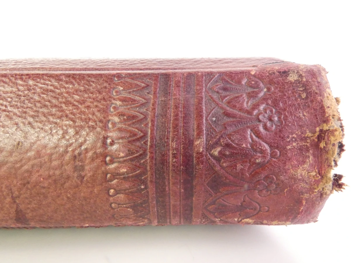 Vintage fotoalbum | Circa 1900-1930 - foto 6
