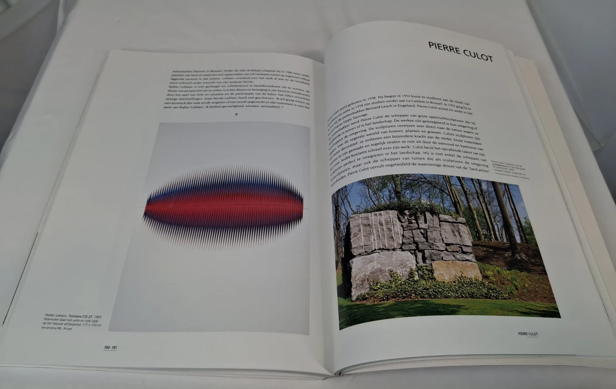 Tweedelige boekenset 'Belgische kunst 1880-2000' - foto 13
