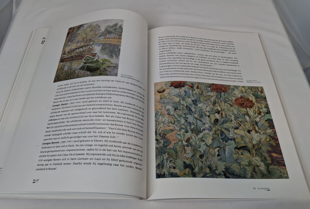 Tweedelige boekenset 'Belgische kunst 1880-2000' - foto 11