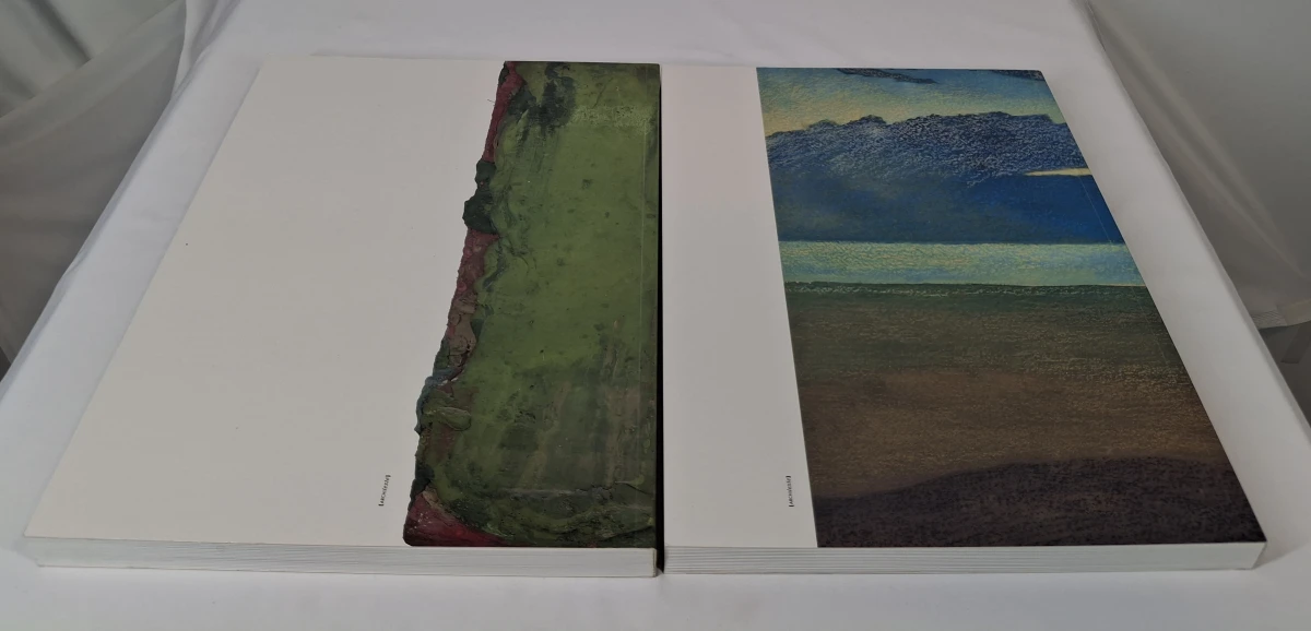 Tweedelige boekenset 'Belgische kunst 1880-2000' - foto 5