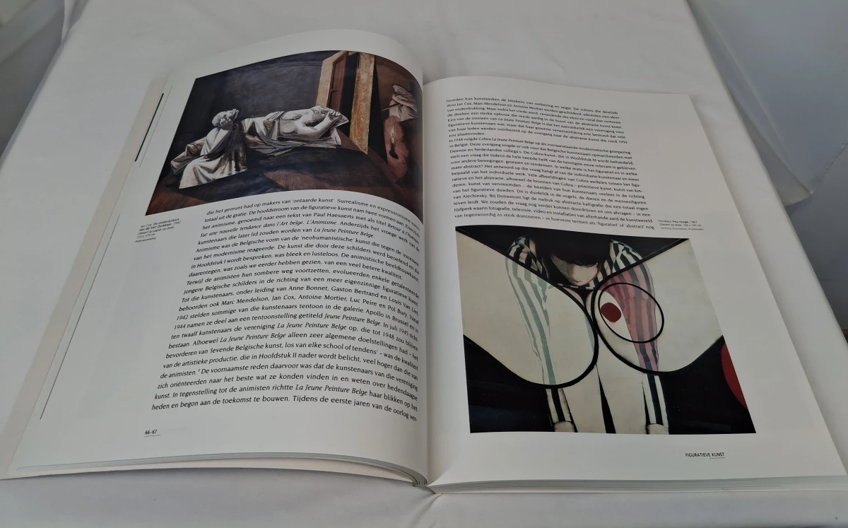 Tweedelige boekenset 'Belgische kunst 1880-2000' - foto 12