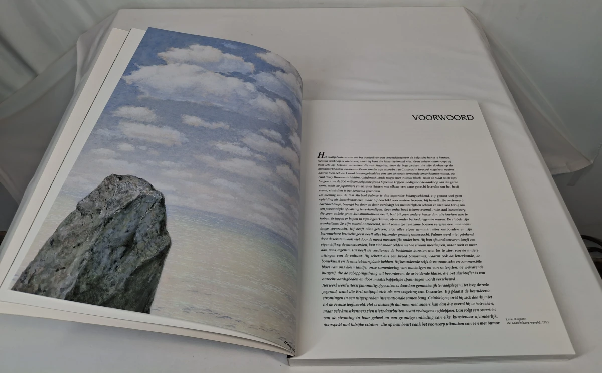 Tweedelige boekenset 'Belgische kunst 1880-2000' - foto 8