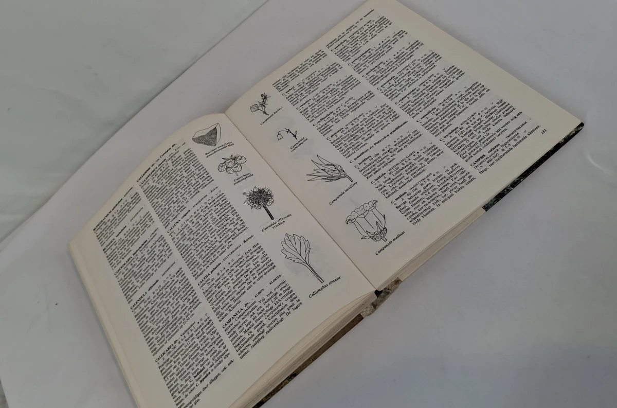 Elseviers Tuinboek: het klassieke handboek voor de tuinliefhebber - foto 6