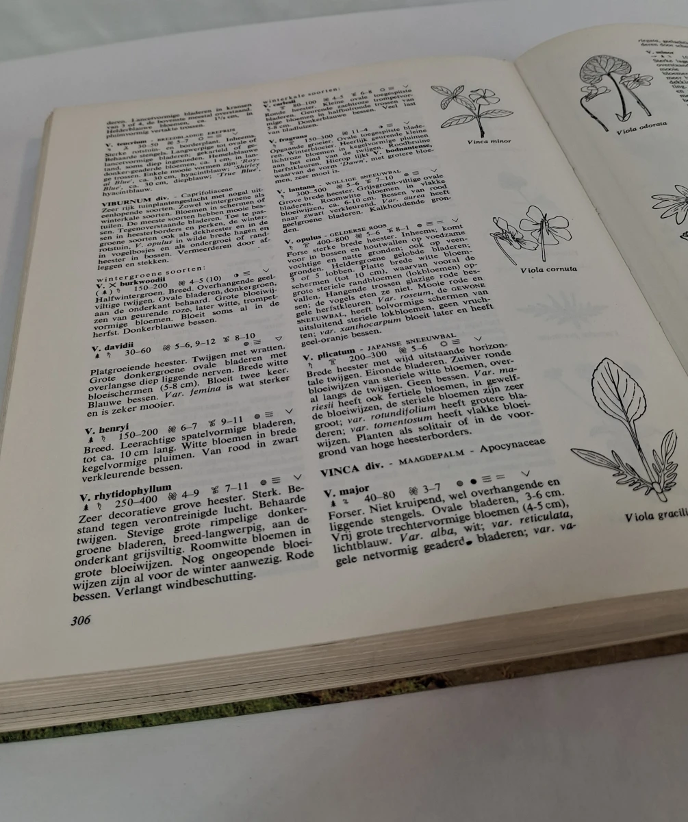 Elseviers Tuinboek: het klassieke handboek voor de tuinliefhebber - foto 7