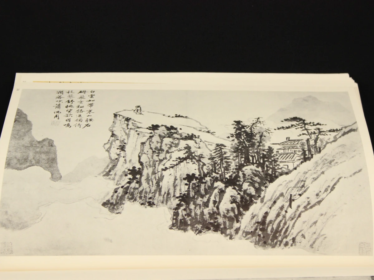 Chinese Painting - Kunstboek over Chinese schilderkunst - foto 8