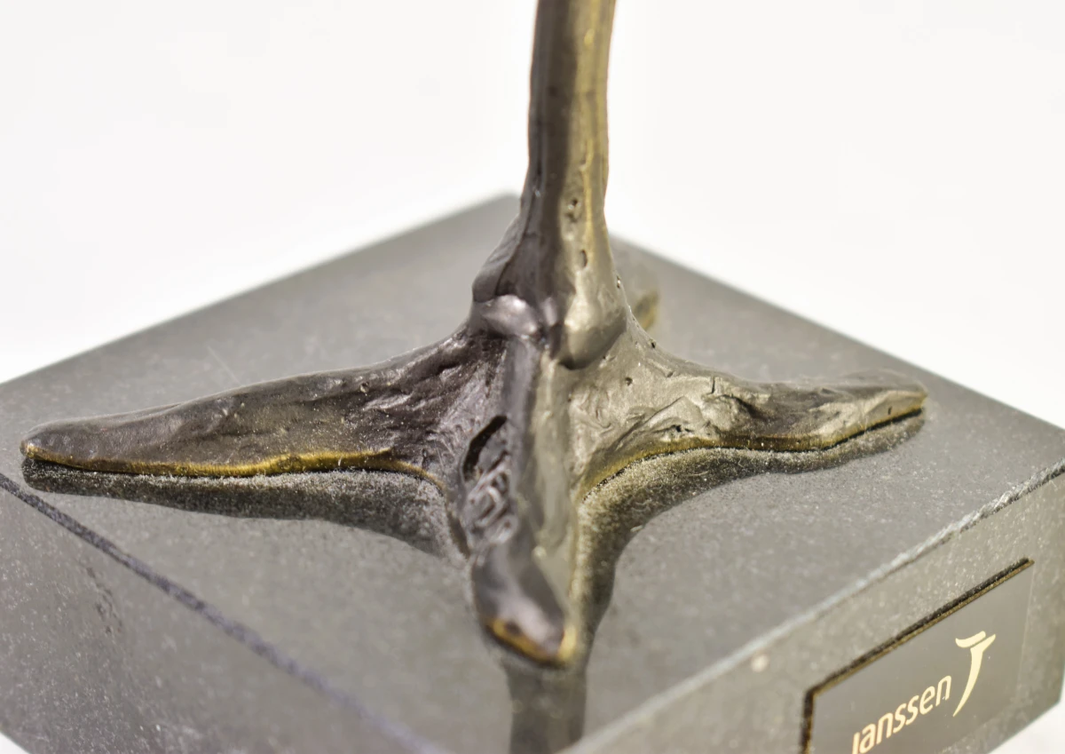 Artihove bronzen sculptuur voor Janssen Pharmaceutica - foto 8