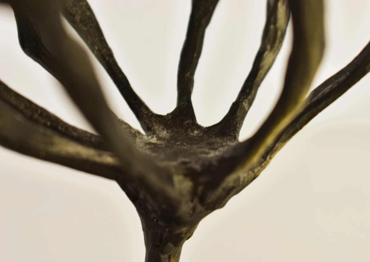 Artihove bronzen sculptuur voor Janssen Pharmaceutica - foto 7