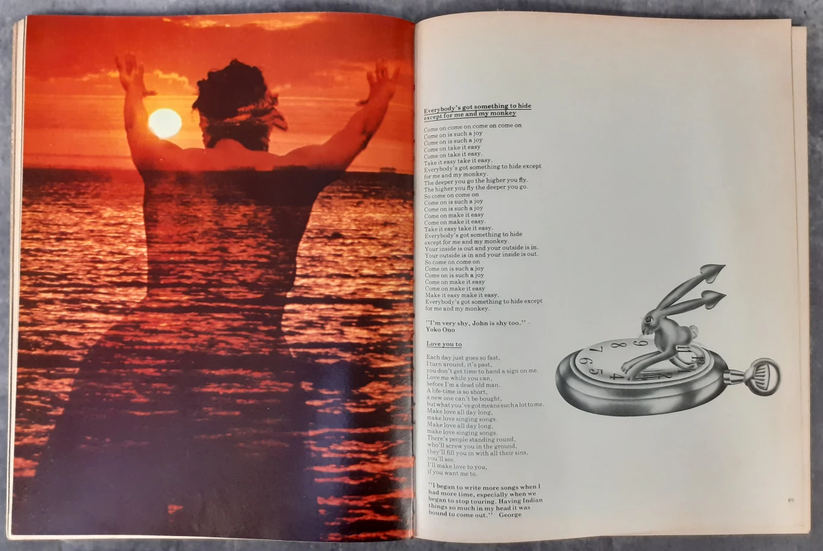 Boek: The Beatles - Illustrated Lyrics - foto 4