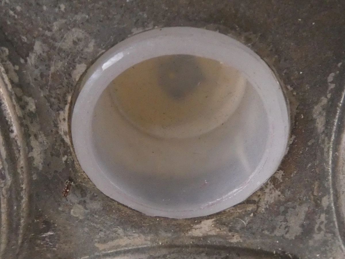 Neoclassicistische Verzilverde Kandelaar - Godinger Silver Co. - foto 15