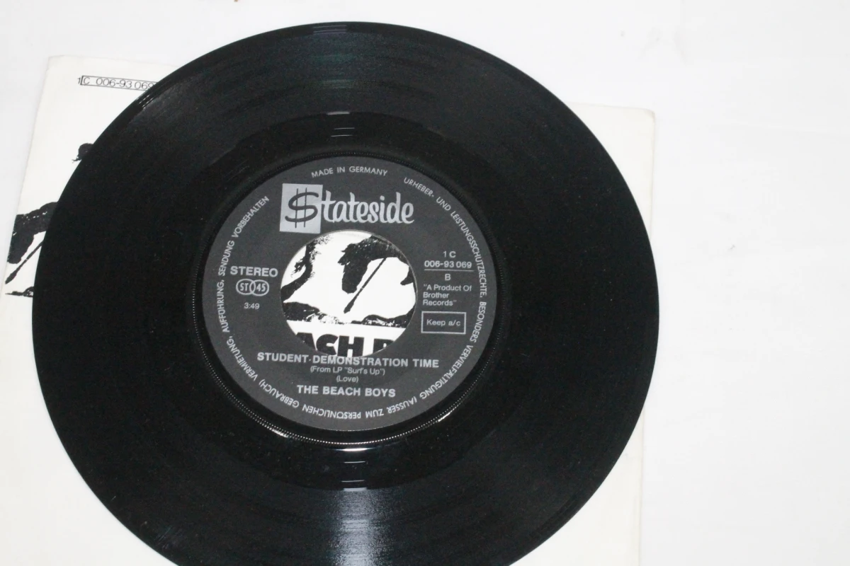 Single: The Beach Boys: Don't Go Near the Water - foto 3