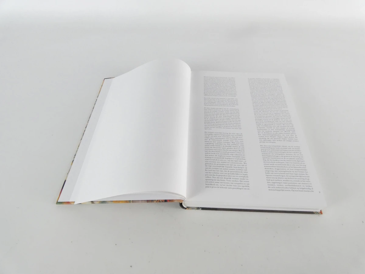 Monumentaal Overzicht van 20.000 Jaar Schilderkunst - foto 17