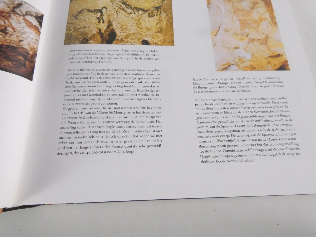Monumentaal Overzicht van 20.000 Jaar Schilderkunst - foto 24