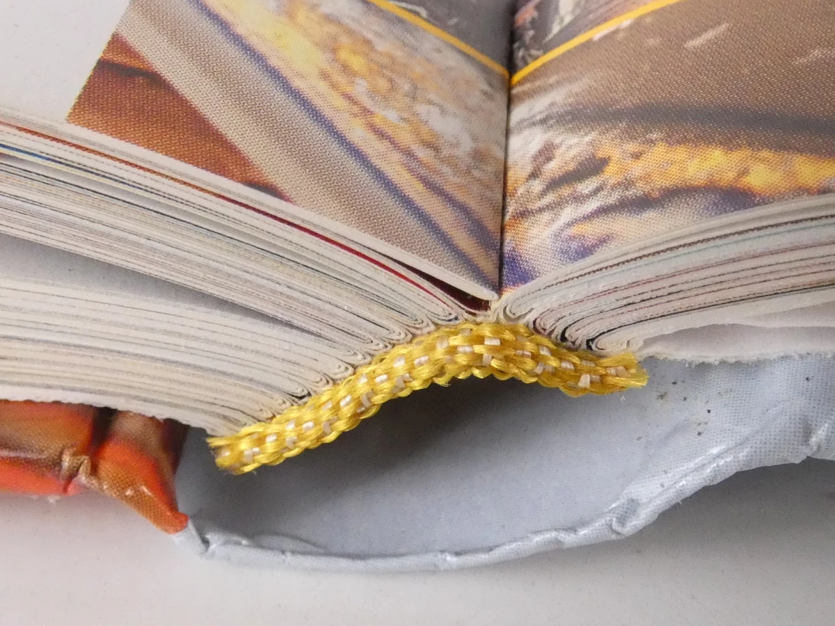 Set van 3 Franstalige boeken over gastronomie en chocolade - foto 8