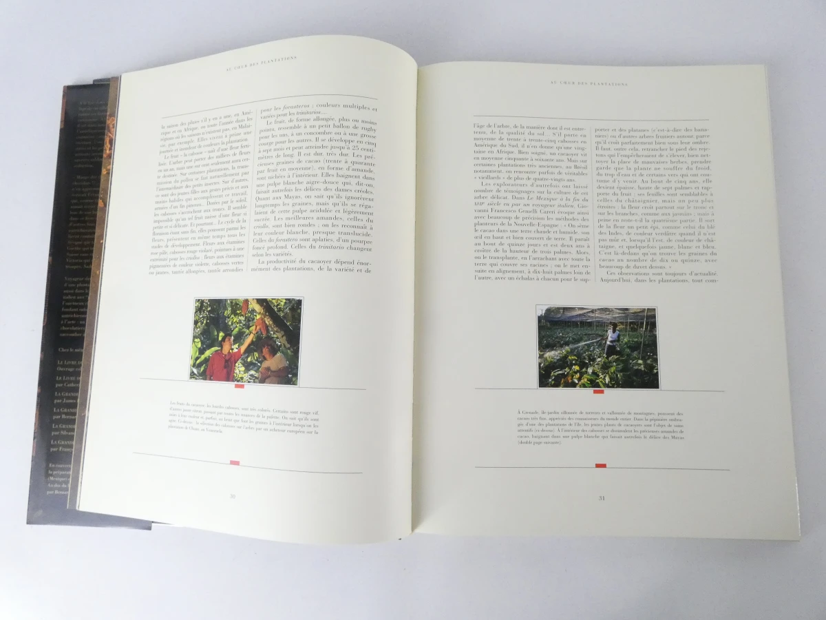 Set van 3 Franstalige boeken over gastronomie en chocolade - foto 21
