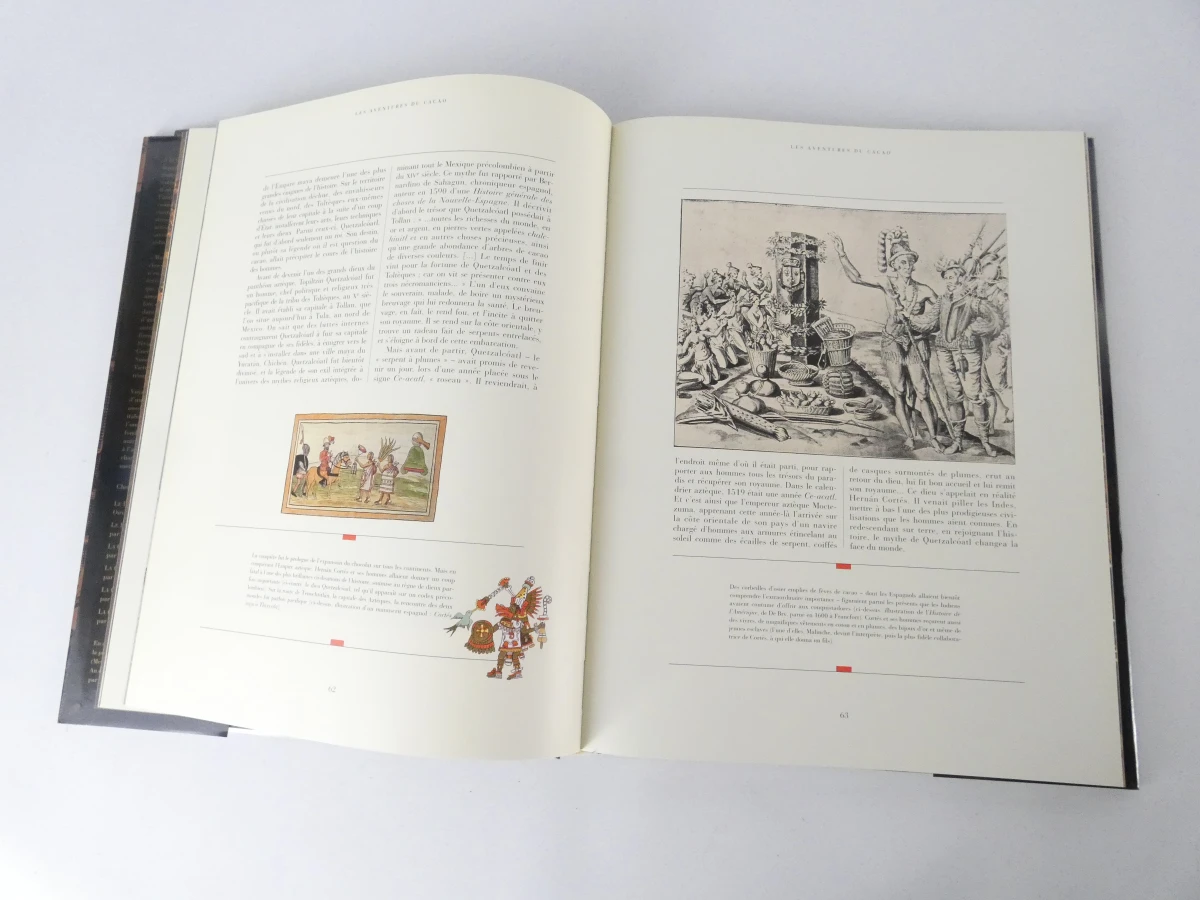 Set van 3 Franstalige boeken over gastronomie en chocolade - foto 22