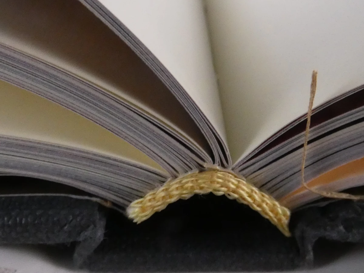 Set van 3 Franstalige boeken over gastronomie en chocolade - foto 25