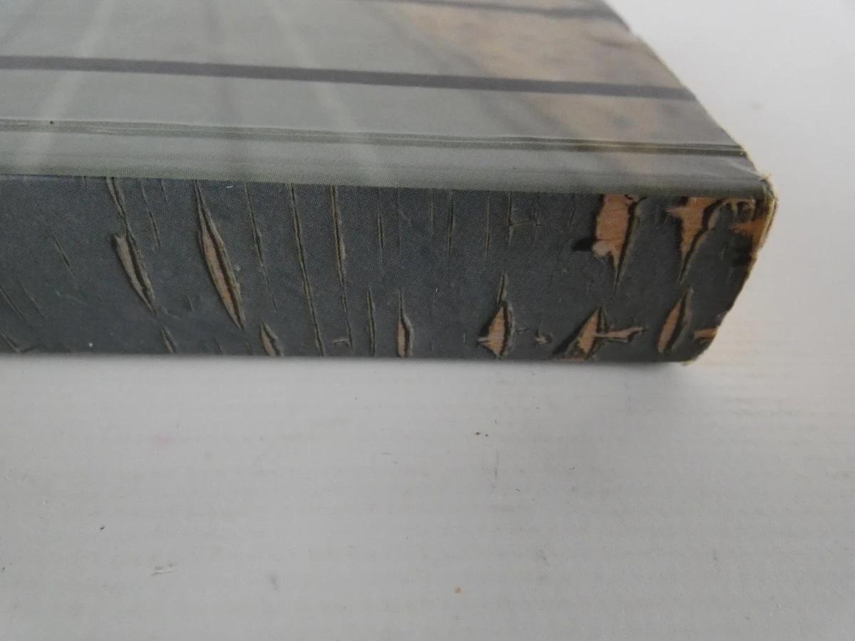 Boekenreeks De Standaard Thrillers - foto 26