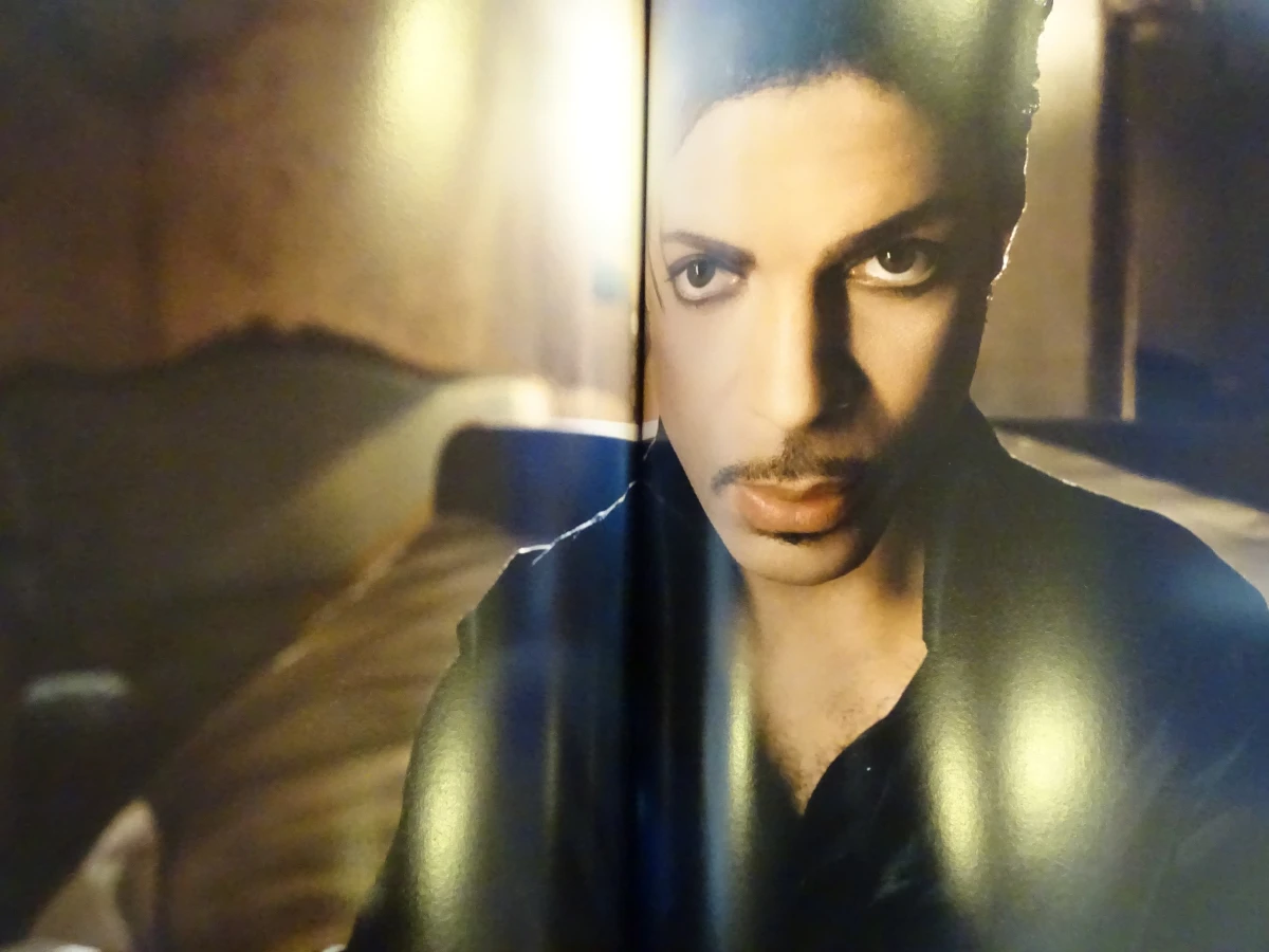 Prince/Randee St.Nicholas - foto 7