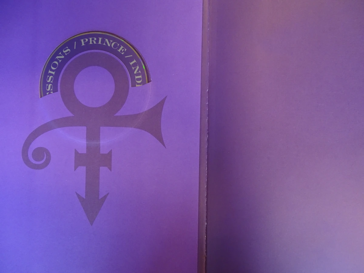 Prince/Randee St.Nicholas - foto 4