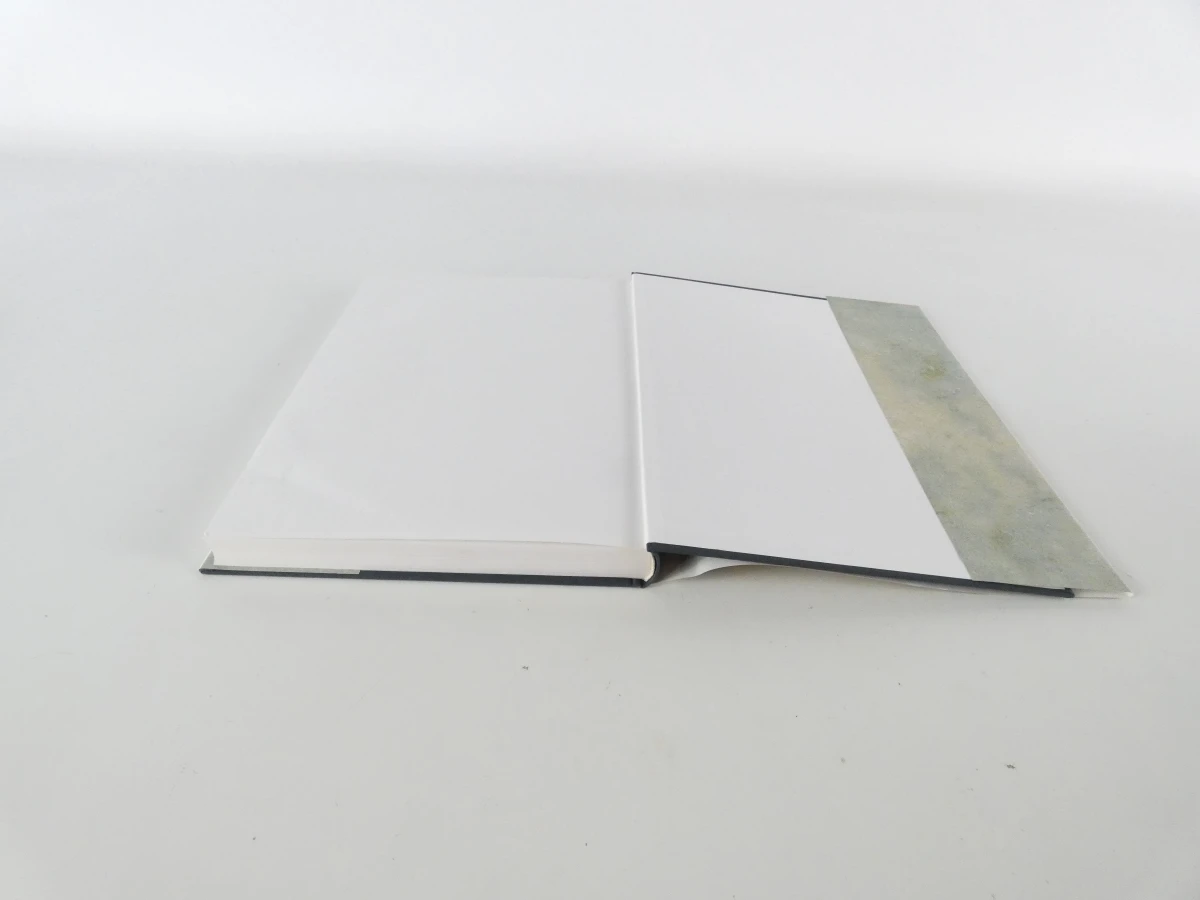 Set van 2 boeken van Cor Engelen over de middeleeuwen - foto 11